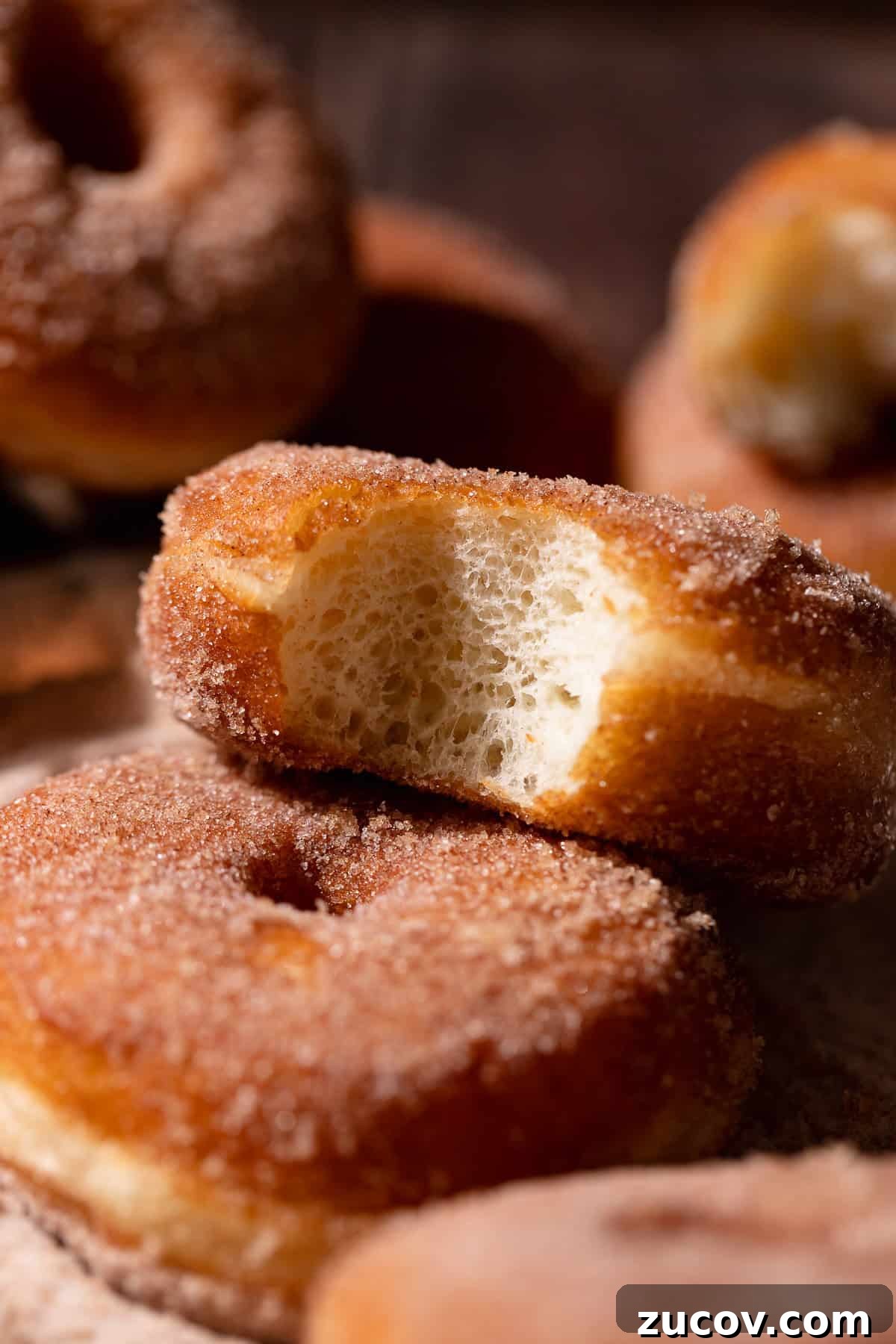 A cinnamon sugar doughnut with a bite missing.