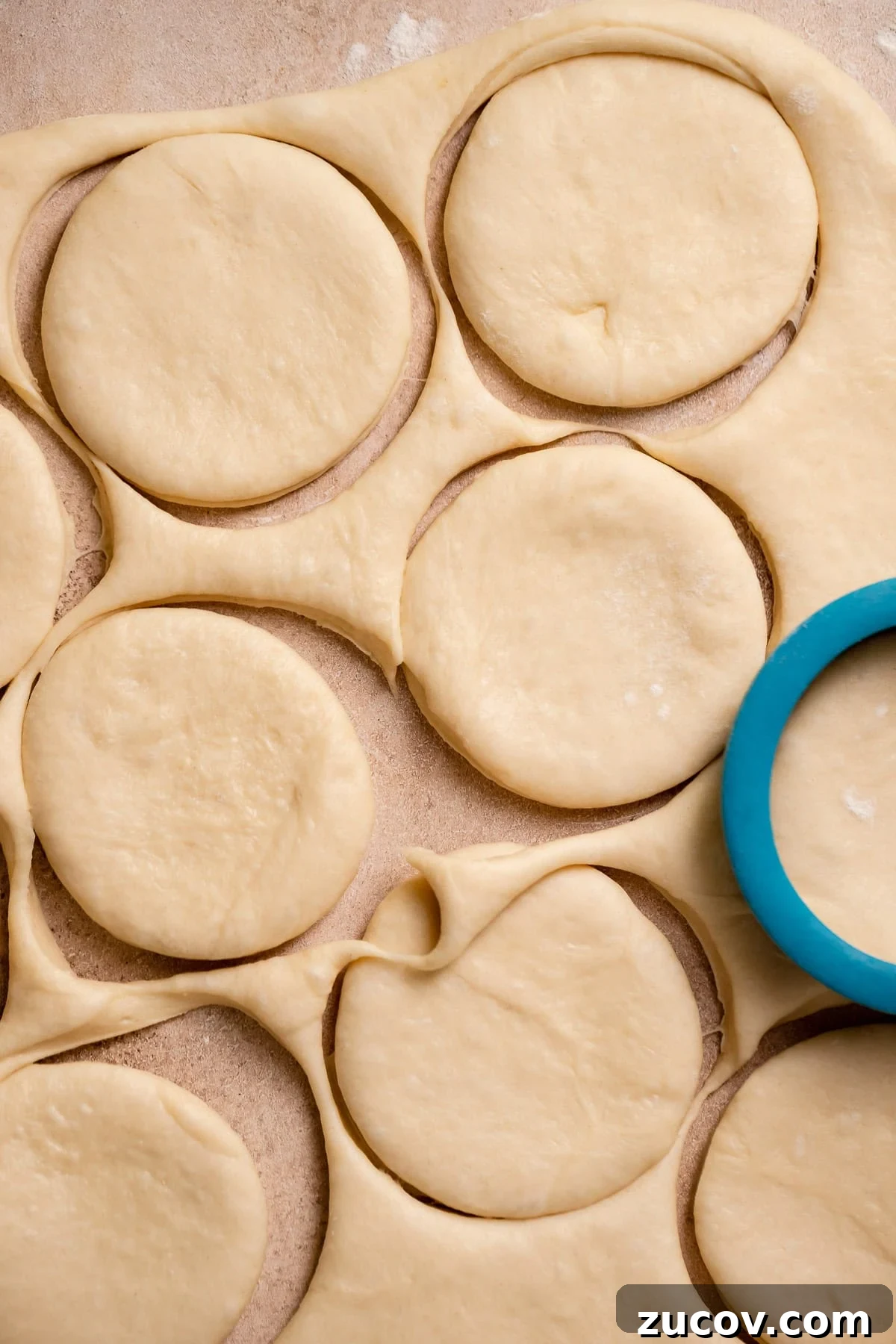 Donuts being cut out from the rolled out dough.