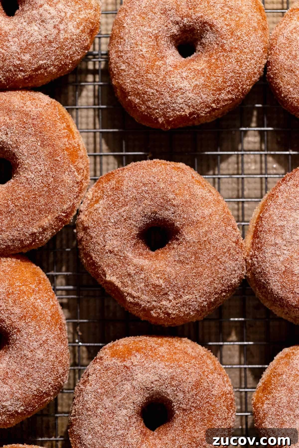 Fried cinnamon sugar donuts covered in cinnamon sugar on a wire rack.