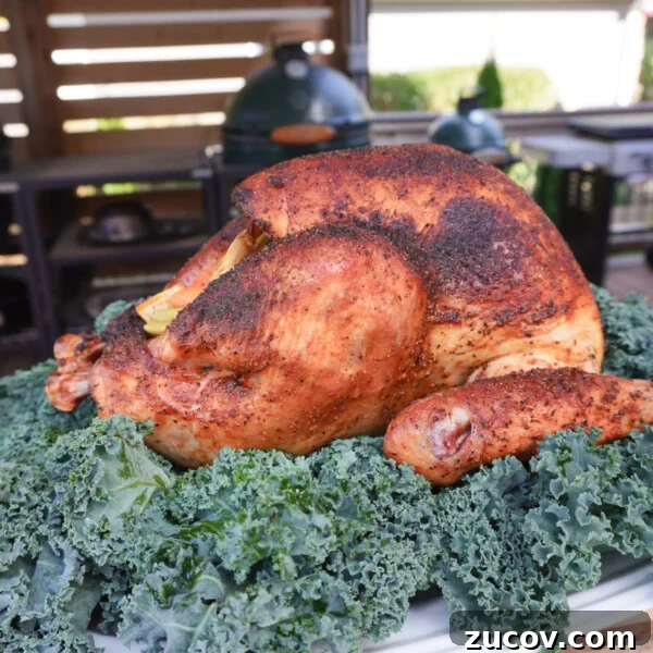 Mexican-Spiced Turkey Breast Recipe for Flavorful Weeknight Meals 6 Smoked Turkey