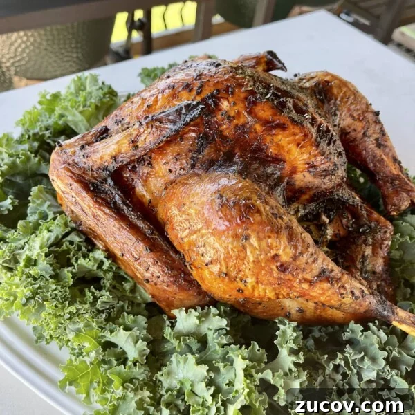 Mexican-Spiced Turkey Breast Recipe for Flavorful Weeknight Meals 8 Garlic Butter Turkey