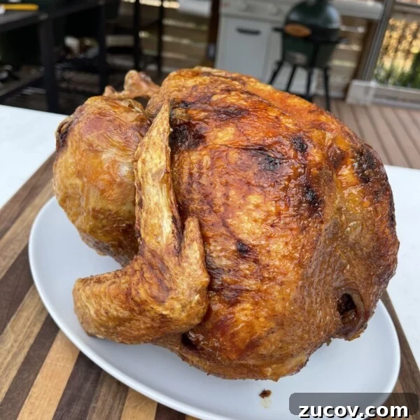 Mexican-Spiced Turkey Breast Recipe for Flavorful Weeknight Meals 9 Deep Fried Turkey
