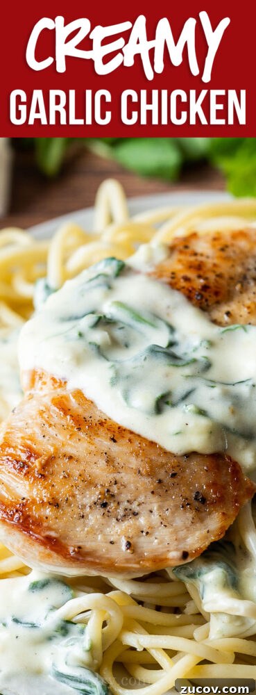 Creamy Garlic Chicken Dinner with Parmesan and Herbs 7 Creamy Garlic Chicken with spinach in a creamy parmesan cheese sauce
