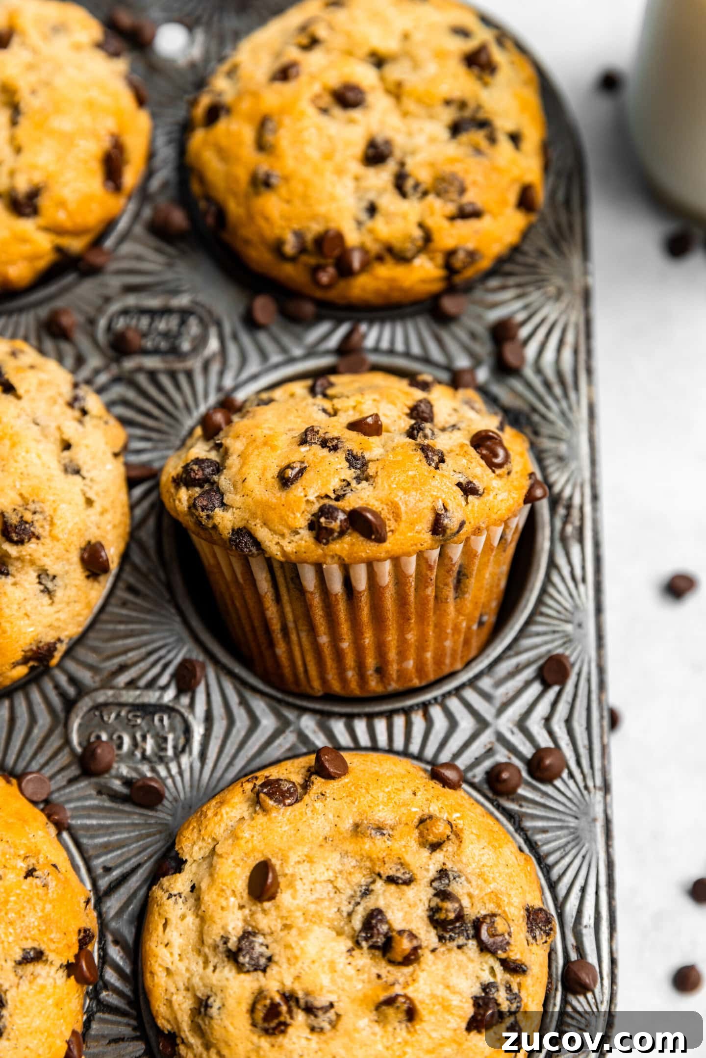 Small-Batch Chocolate Chip Muffins Made with Sour Cream 11 Small Batch Chocolate Chip Muffins with Sour Cream in a muffin pan surrounded by mini chocolate chips.