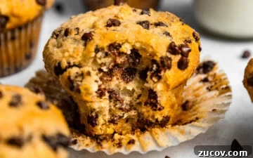 Small-Batch Chocolate Chip Muffins Made with Sour Cream 13 Close up of Small Batch Chocolate Chip Muffin with a bite taken out of it next to a glass of milk