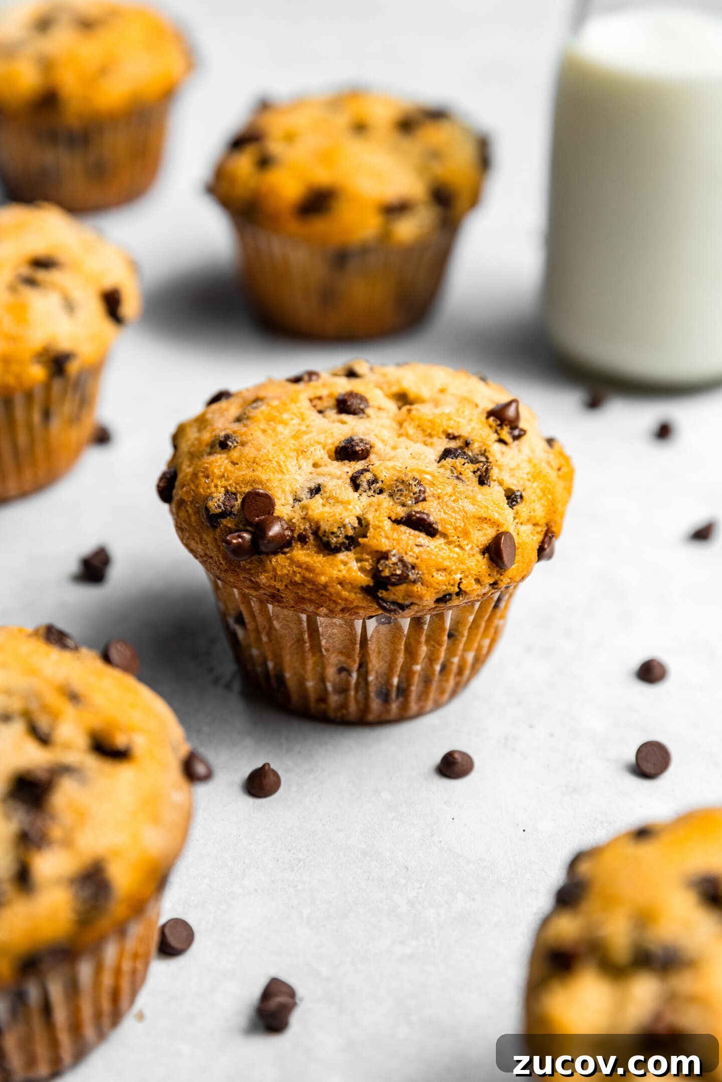 Small-Batch Chocolate Chip Muffins Made with Sour Cream 3 Small Batch Chocolate Chip Muffins with Sour Cream next to a glass of milk and scattered mini chocolate chips