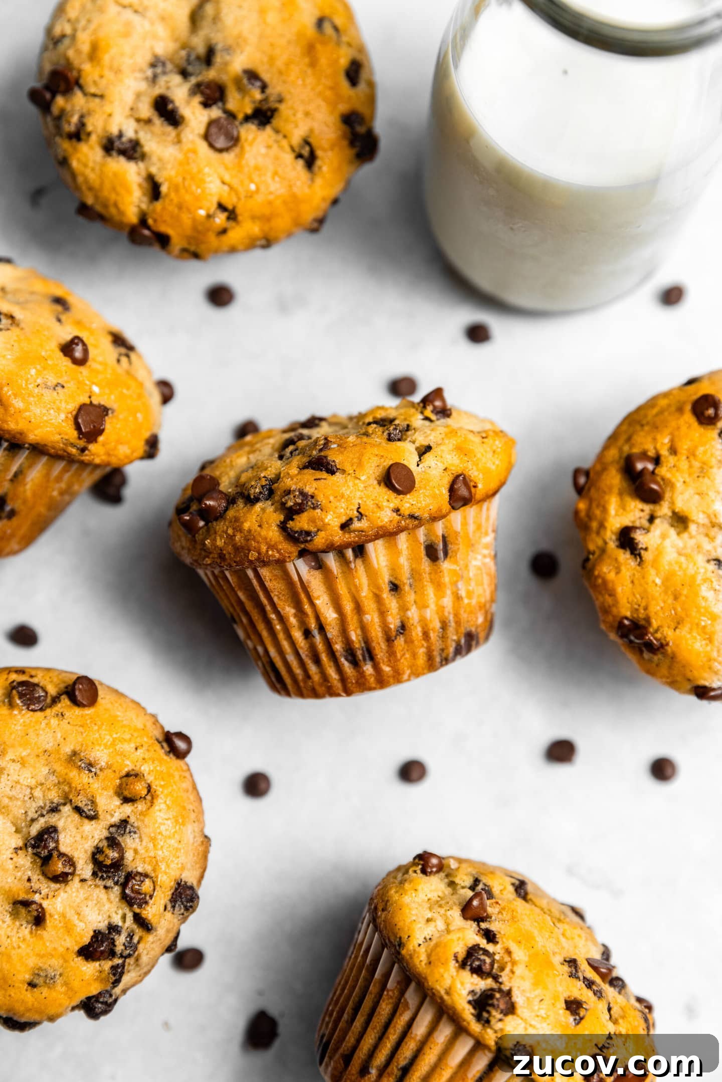 Small-Batch Chocolate Chip Muffins Made with Sour Cream 4 Small Batch Chocolate Chip Muffins with Sour Cream scattered next to a glass of milk.