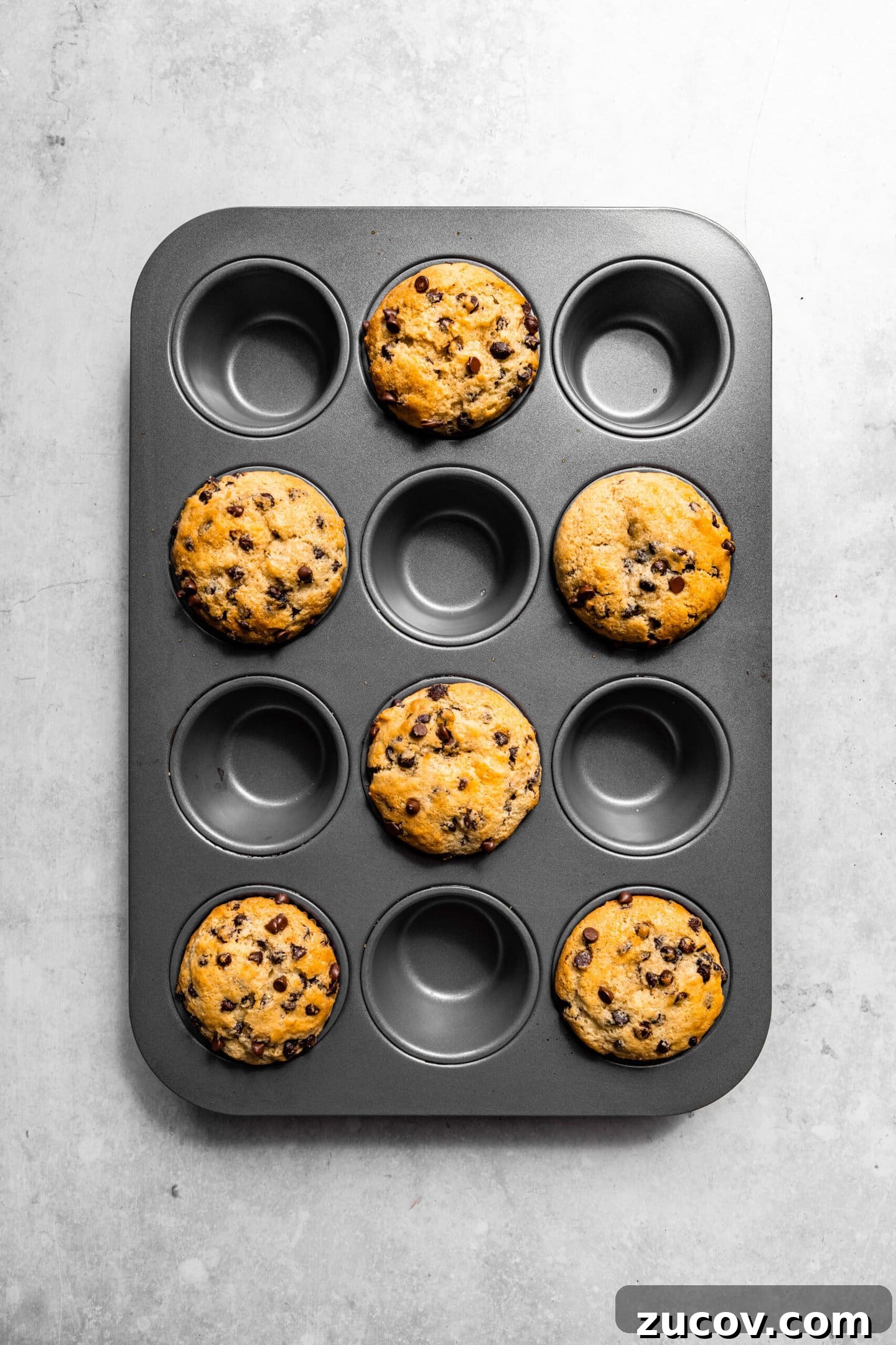 Small-Batch Chocolate Chip Muffins Made with Sour Cream 10 Freshly baked chocolate chip muffins with sour cream sitting in muffin pan