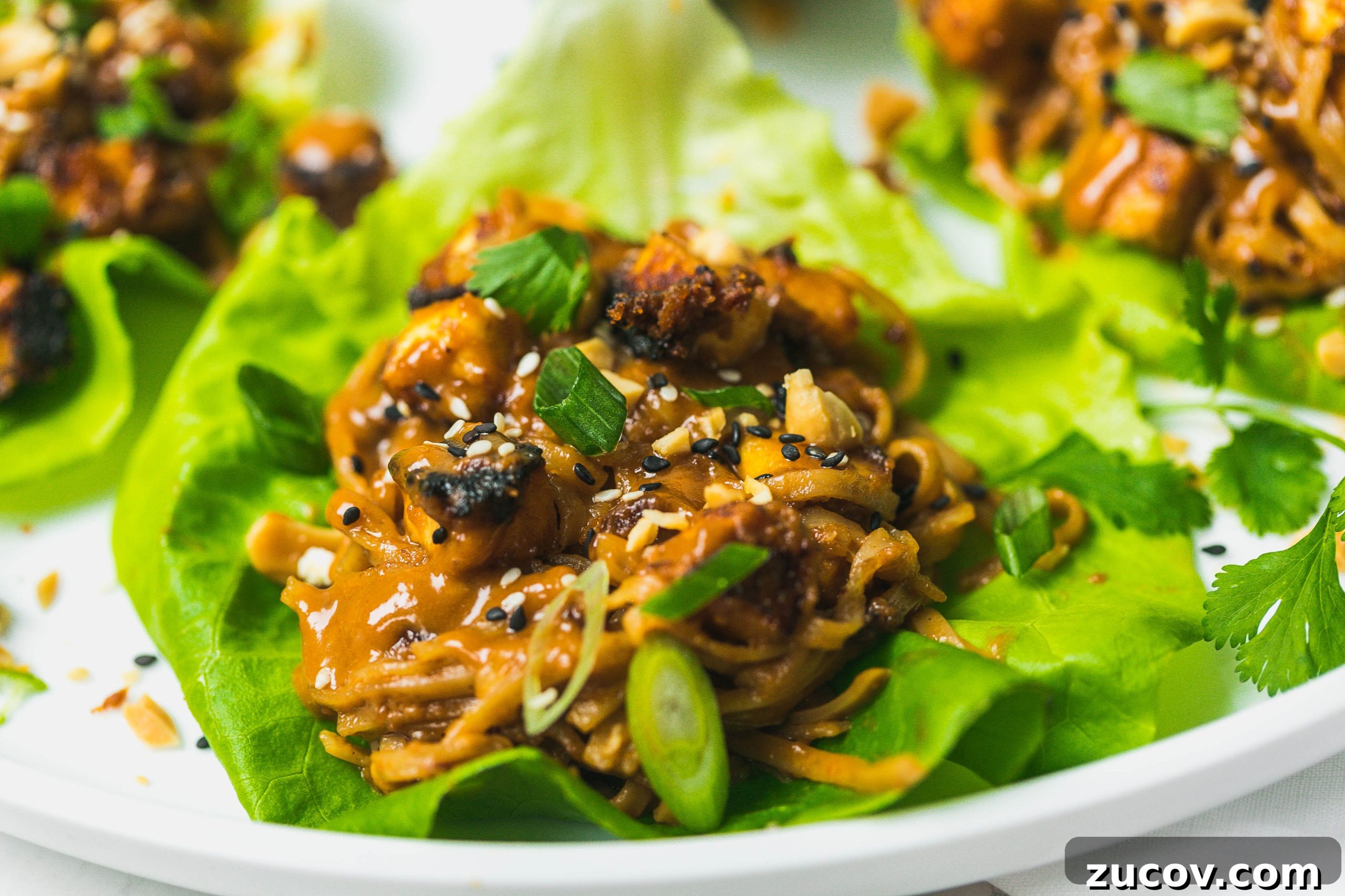 Spicy Peanut Tofu Lettuce Wraps (Vegan Recipe) 3 img 35022 2 scaled