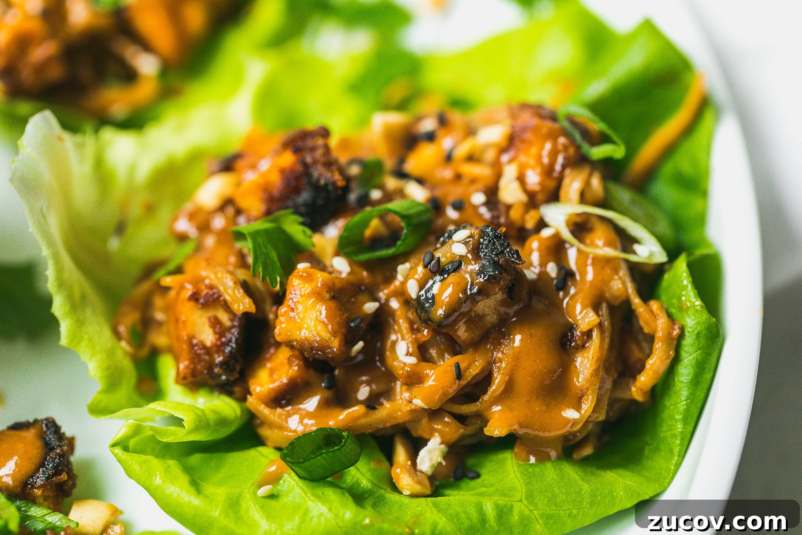 Spicy Peanut Tofu Lettuce Wraps (Vegan Recipe) 7 img 35022 6 scaled