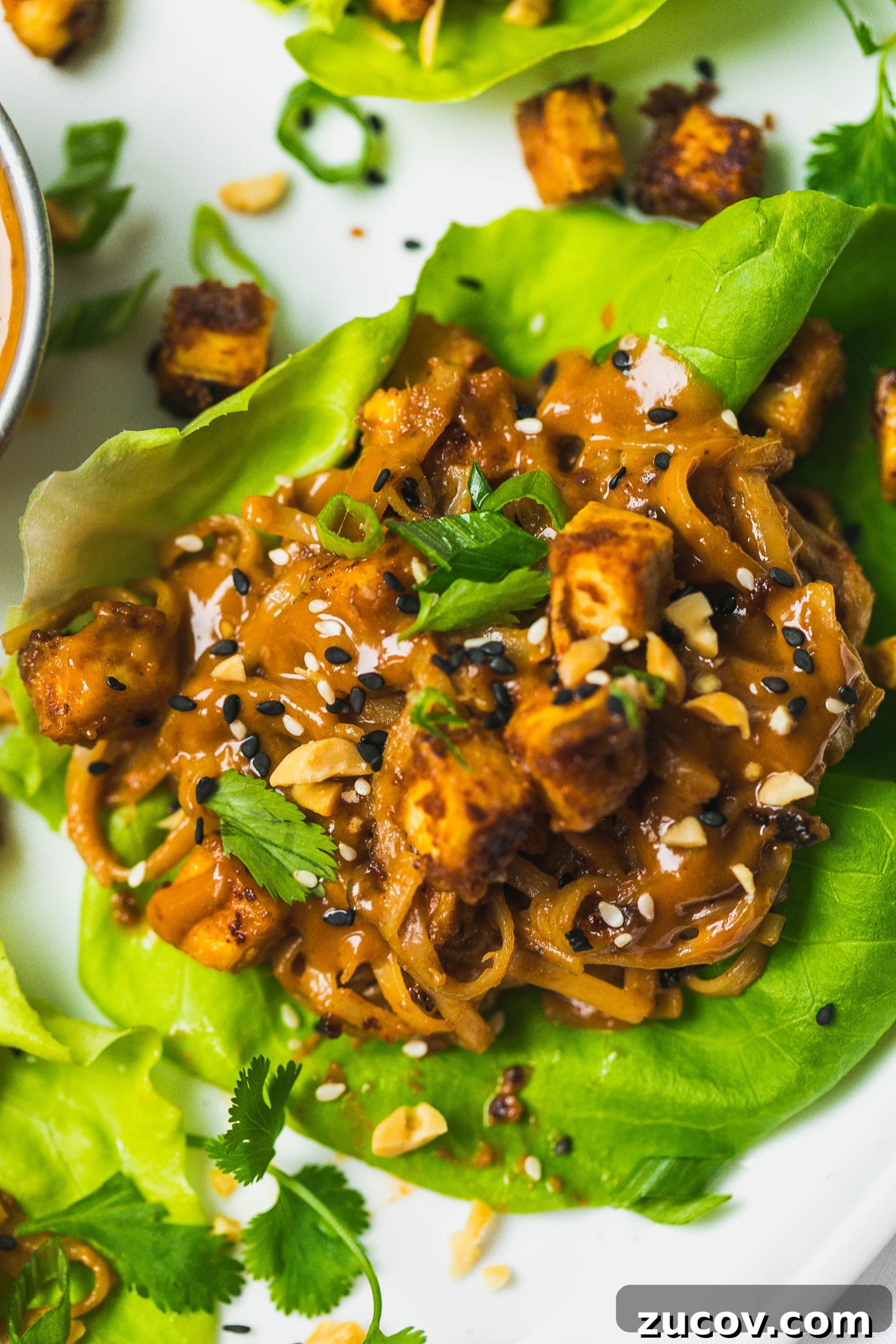 Spicy Peanut Tofu Lettuce Wraps (Vegan Recipe) 8 img 35022 7 scaled