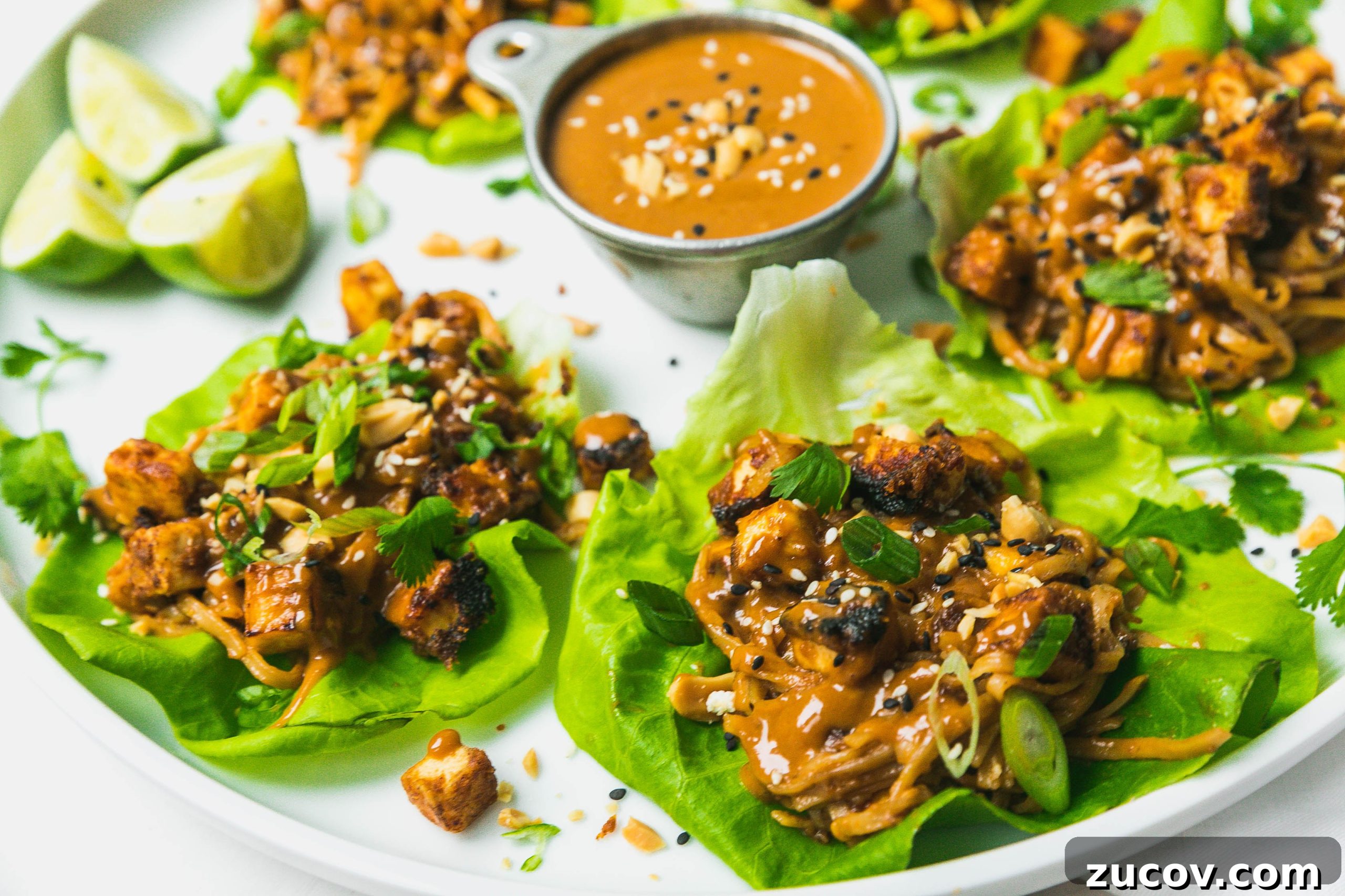Spicy Peanut Tofu Lettuce Wraps (Vegan Recipe) 10 img 35022 8 scaled