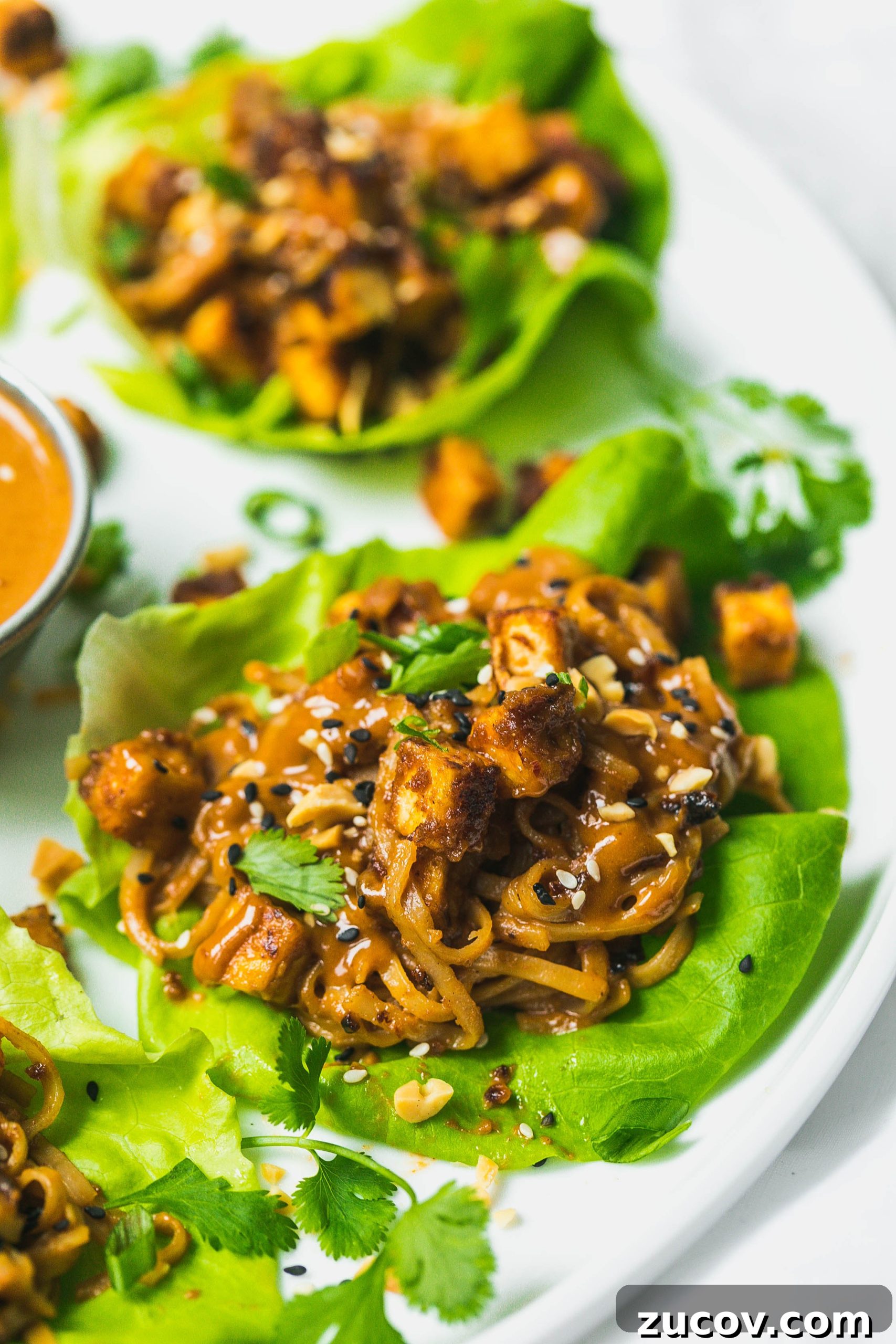 Spicy Peanut Tofu Lettuce Wraps (Vegan Recipe) 11 img 35022 9 scaled