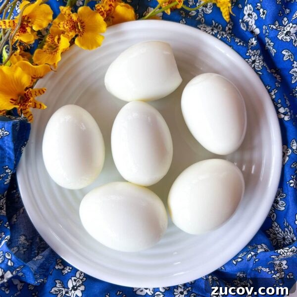 Egg Facts: 10 Frequently Asked Questions About Eggs 2 6 boiled and peeled eggs on a plate with blue tablecloth in the background