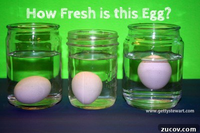 Egg Facts: 10 Frequently Asked Questions About Eggs 7 egg fresh test