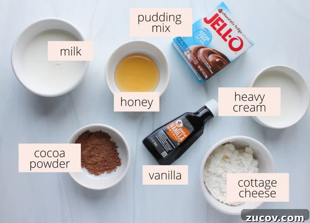 Creamy Cottage Cheese Ice Cream Recipe for Ninja Creami 3 The ingredients for chocolate cottage cheese ice cream laid out on a white countertop with labels.