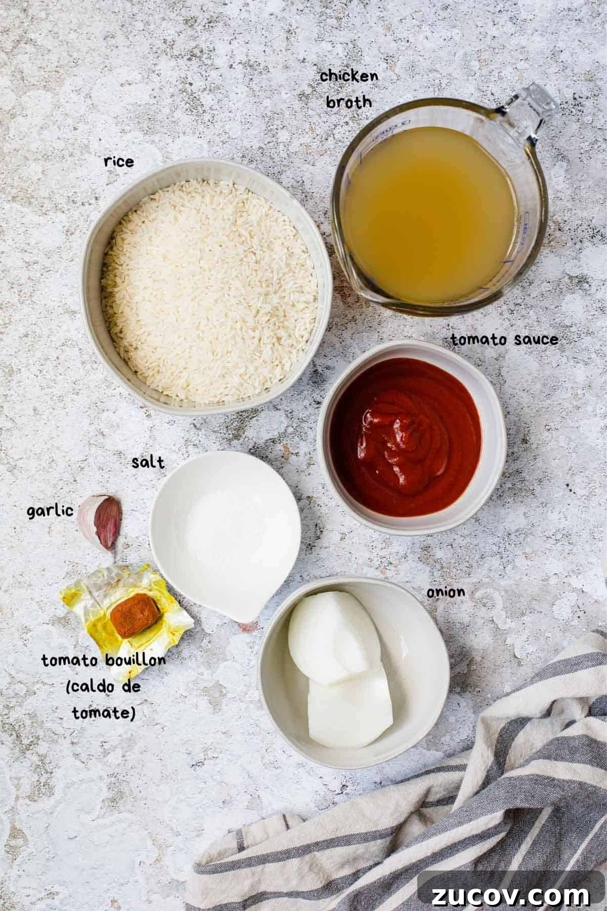 Instant Pot Arroz Rojo (Mexican Red Rice) 3 overhead shot of recipe ingredients labeled