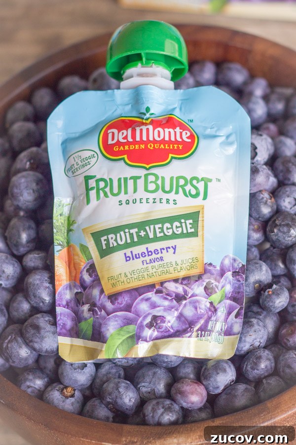Del Monte Fruit Burst Squeezers - Blueberry Del Monte Fruit Burst Squeezers - Blueberry