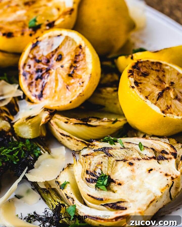 Grilled Fennel Salad - sipandfeast.com #grilledfennel #fennel #italiansalad #salad Close up shot of grilled lemons and fennel in white plate.