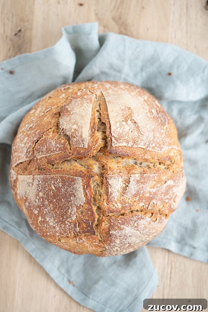 Rustic Sourdough Peasant Bread Recipe for Crispy Crust 2 easy-sourdough-bread-recipe