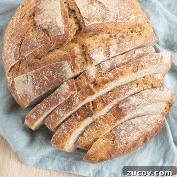 Rustic Sourdough Peasant Bread Recipe for Crispy Crust 6 img 4316 5