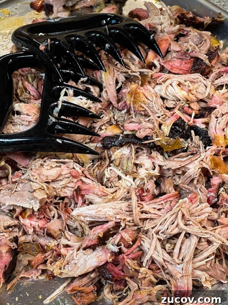 Pork Shoulder Brine Recipe for Juicy, Tender Results 4 Pork shoulder meat shredded with a pair of meat claws.