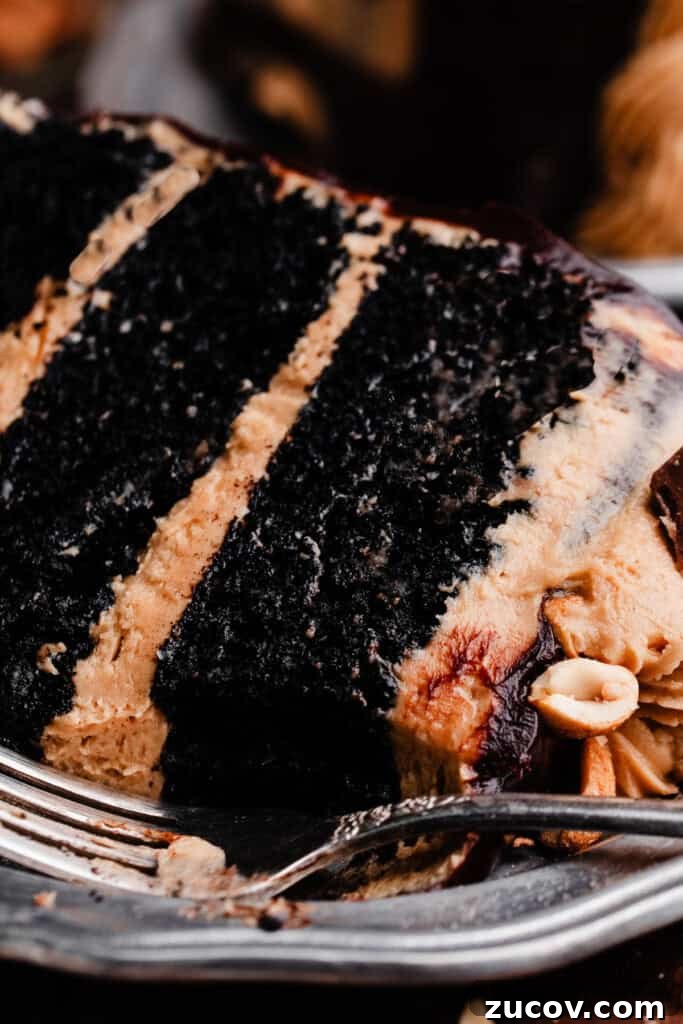 Decadent Peanut Butter Chocolate Cake Recipe You’ll Love 11 A close-up on a slice of peanut butter chocolate cake.