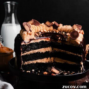 Decadent Peanut Butter Chocolate Cake Recipe You’ll Love 12 The sliced peanut butter chocolate cake on a cake stand.