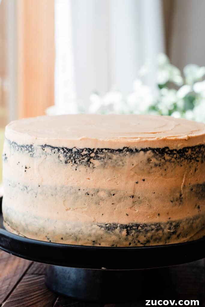 Decadent Peanut Butter Chocolate Cake Recipe You’ll Love 8 A frosted peanut butter chocolate cake on a cake stand.