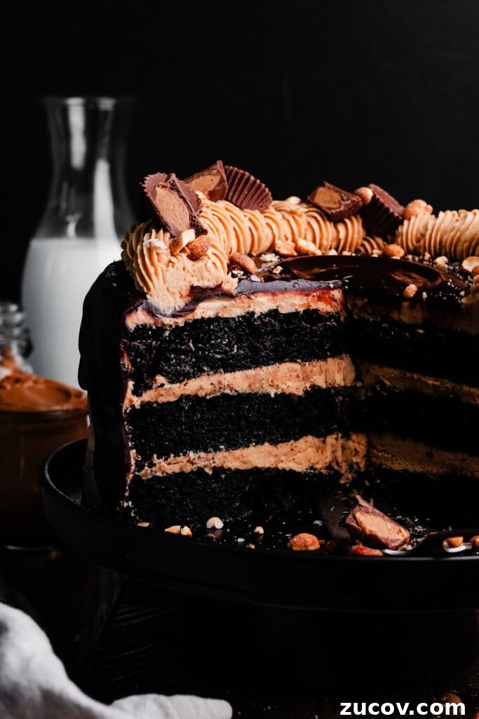 Decadent Peanut Butter Chocolate Cake Recipe You’ll Love 10 A close-up on the sliced open peanut butter chocolate cake.