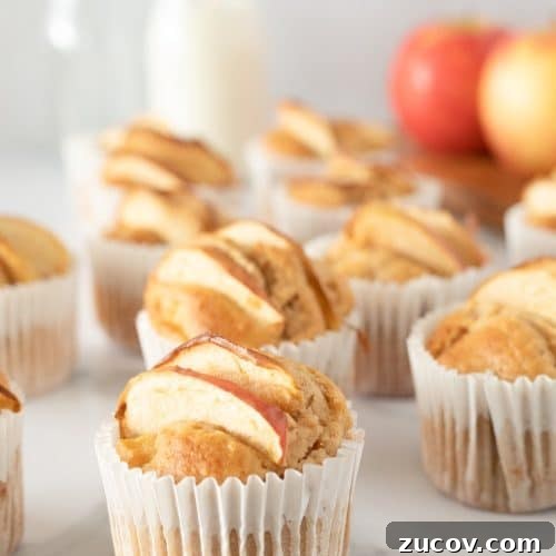 Warm Apple Cinnamon Muffins with Crumble Topping 8 Close up image of homemade apple muffins in cupcake liners