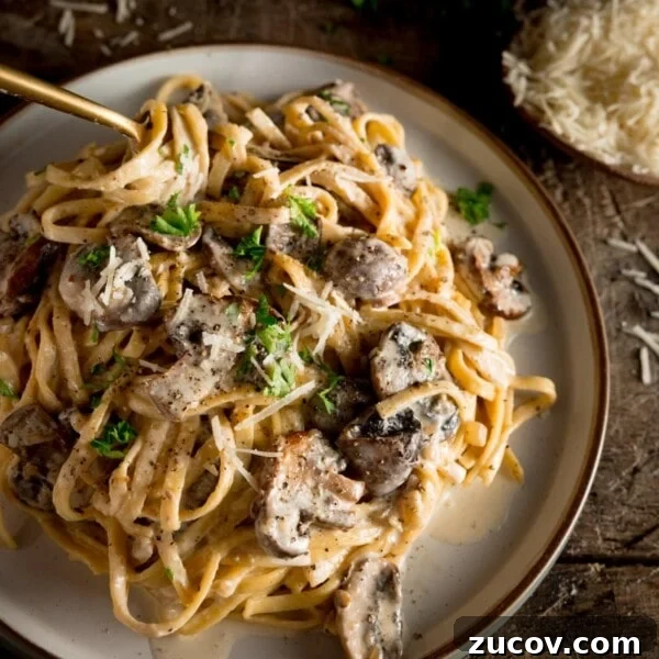 Creamy Marry Me Chicken Pasta Recipe for Weeknight Dinners 8 Creamy mushroom pasta