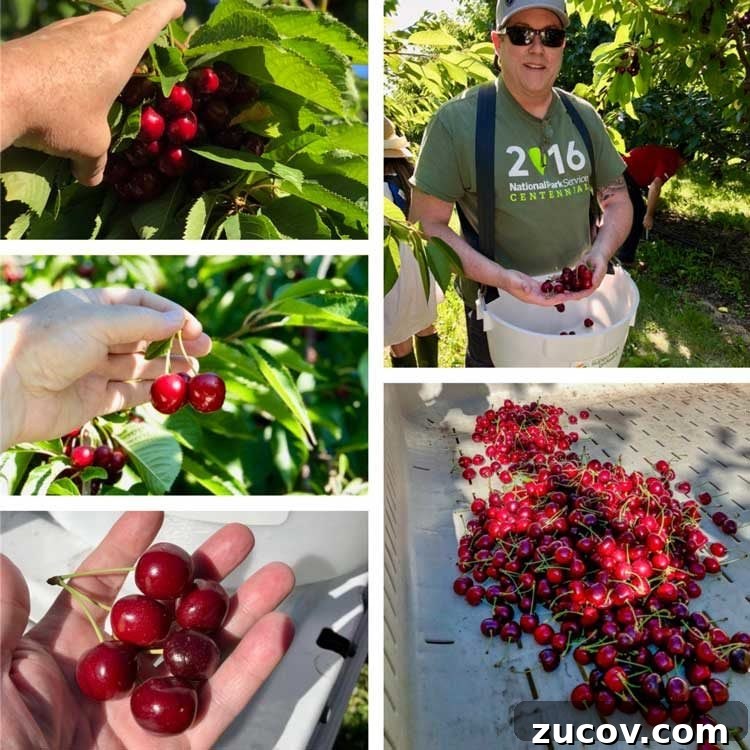 Superfresh Growers and Two Bite Cherries with Kevin Is Cooking Grilled Pork Chops and Cherry Salsa