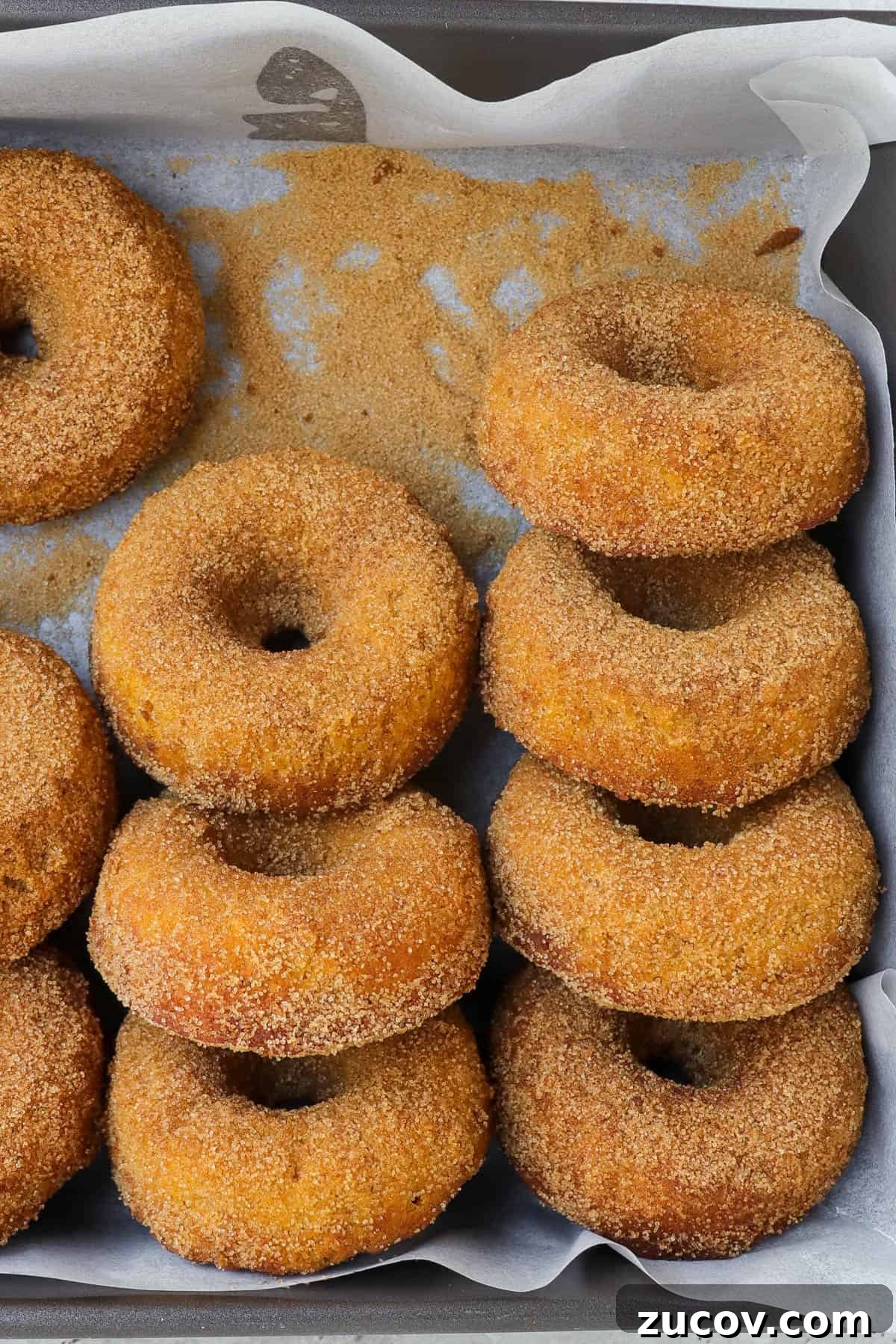 Gluten-Free Pumpkin Donuts Recipe That Actually Works 3 Closer up shot of donuts.