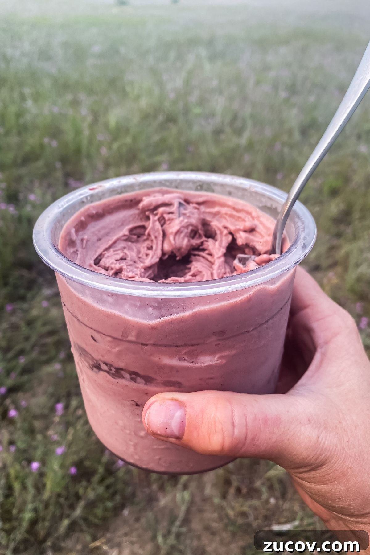 Cherry Chocolate Chip Ice Cream Recipe: Creamy Cherry Chocolate Swirl 2 A person holding a cup of cherry chocolate chip ice cream in the middle of a field.