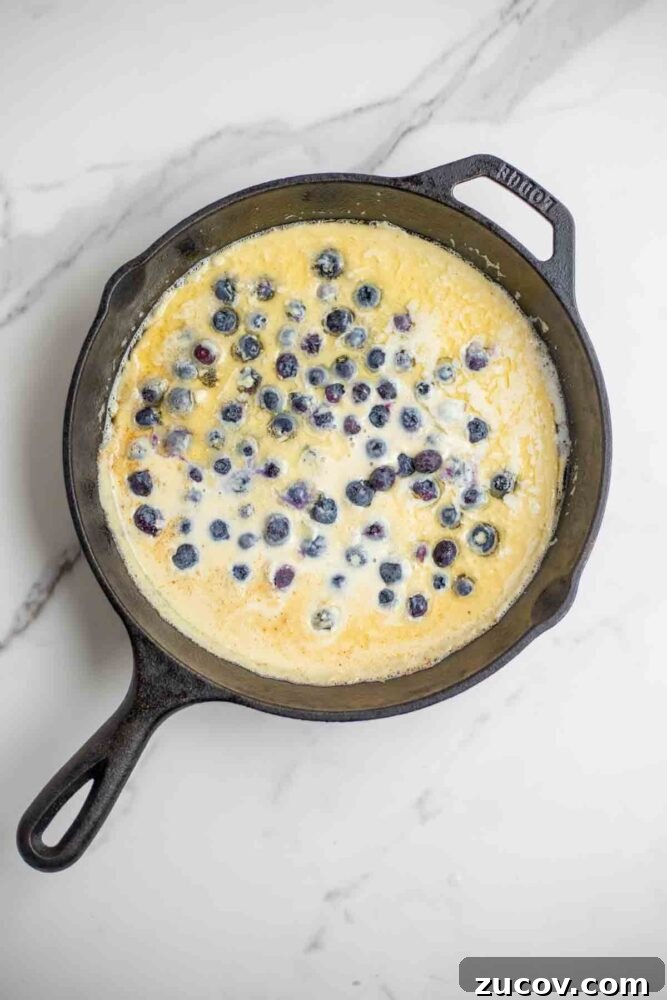 Blueberry Dutch Baby Pancake Recipe for Brunch and Dessert 7 Blueberries scattered in a cast iron skillet with German pancake batter.