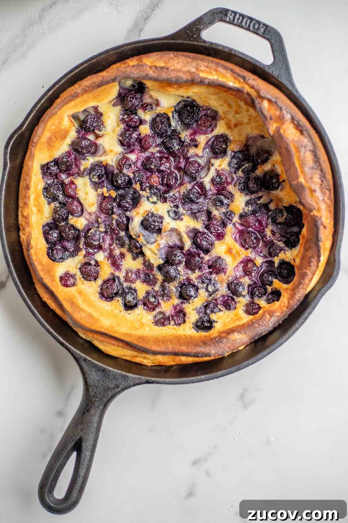 Blueberry Dutch Baby Pancake Recipe for Brunch and Dessert 8 Blueberry dutch baby fresh from the oven in a cast iron skillet.