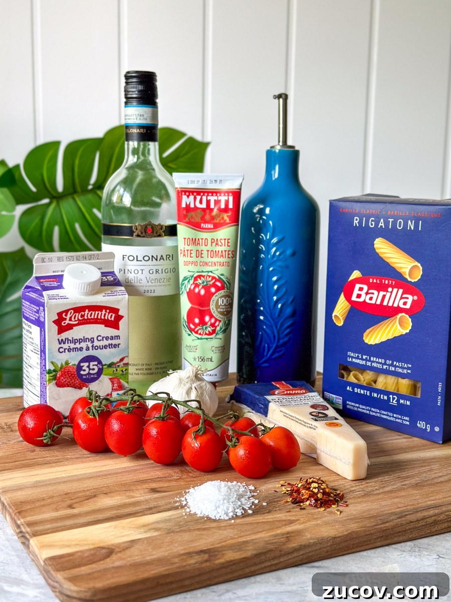 Creamy Tomato Garlic Pasta Recipe for Quick Weeknight Dinners 3 tomato garlic pasta ingredients