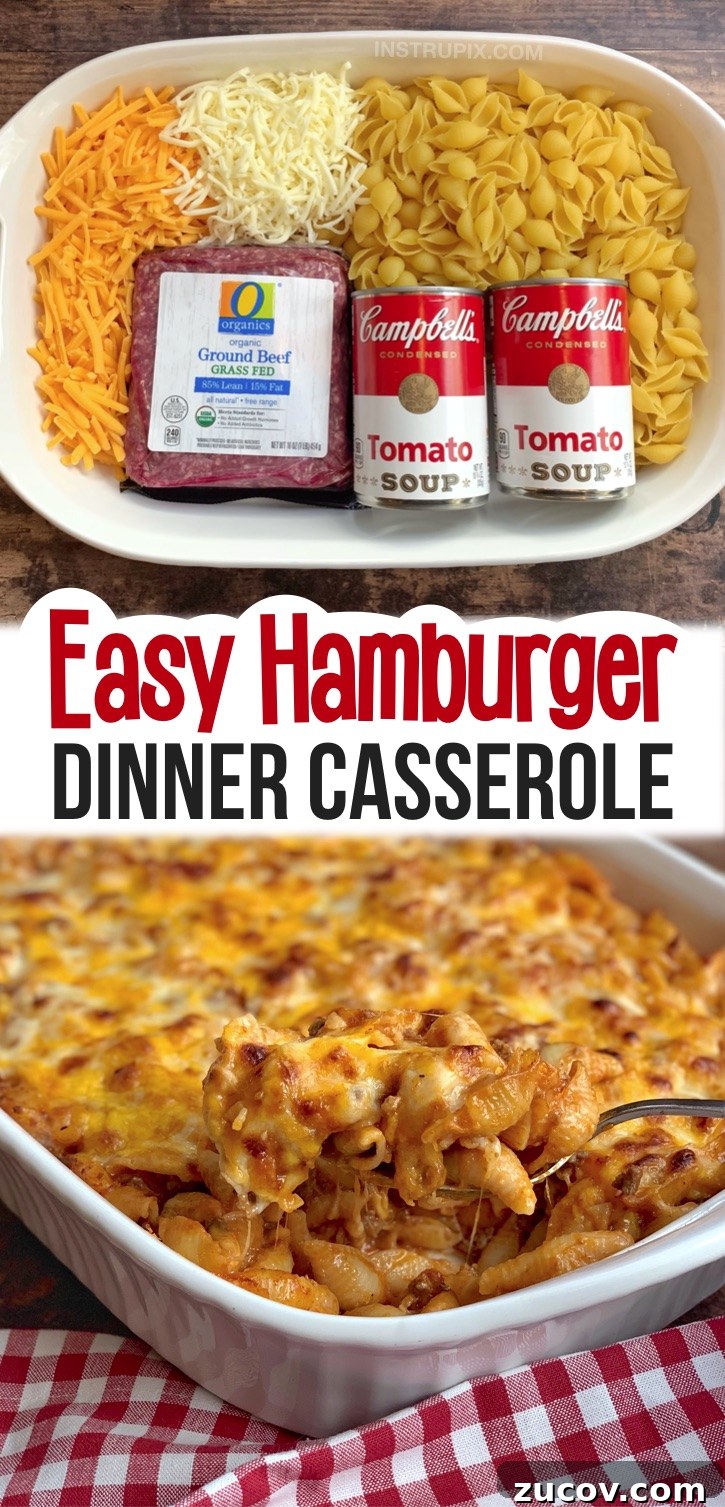 Cheesy Hamburger Casserole Dinner Recipe 8 Looking for quick and easy family dinner recipes with kids? Even your picky eaters will beg for seconds! This cheap and simple meal is made with just a few ingredients: ground beef, tomato soup, pasta and cheese. Kids and teens of all ages will approve of this easy casserole recipe. It's perfect for busy weeknight meals when you're too tired and busy to cook. Just as good leftover for lunch or dinner the next day. A really easy dinner recipe made with ground beef. Husband approved, too!
