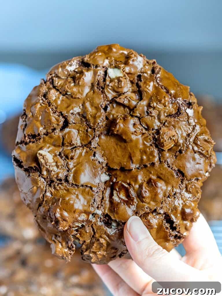 5-Minute Chocolate Ganache Recipe for Cakes, Glazes & Dips 12 big chocolate cookie held in hand