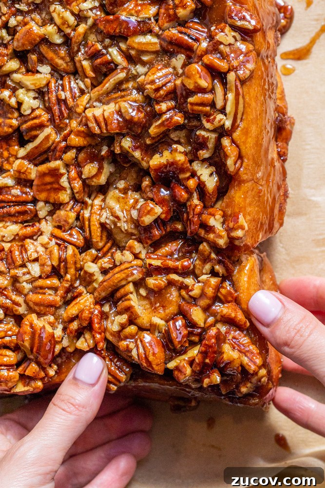 Pecan Milk Rolls: Soft, Buttery Overnight Sweet Buns 2 img 5480 1