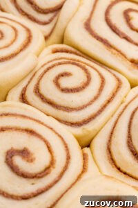 Pecan Milk Rolls: Soft, Buttery Overnight Sweet Buns 14 img 5480 13