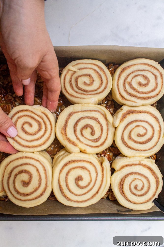 Pecan Milk Rolls: Soft, Buttery Overnight Sweet Buns 3 pecan rolls before baking