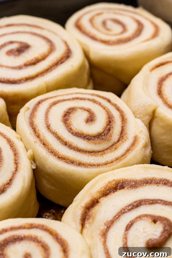 Pecan Milk Rolls: Soft, Buttery Overnight Sweet Buns 4 img 5480 3