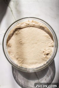 Pecan Milk Rolls: Soft, Buttery Overnight Sweet Buns 7 img 5480 6