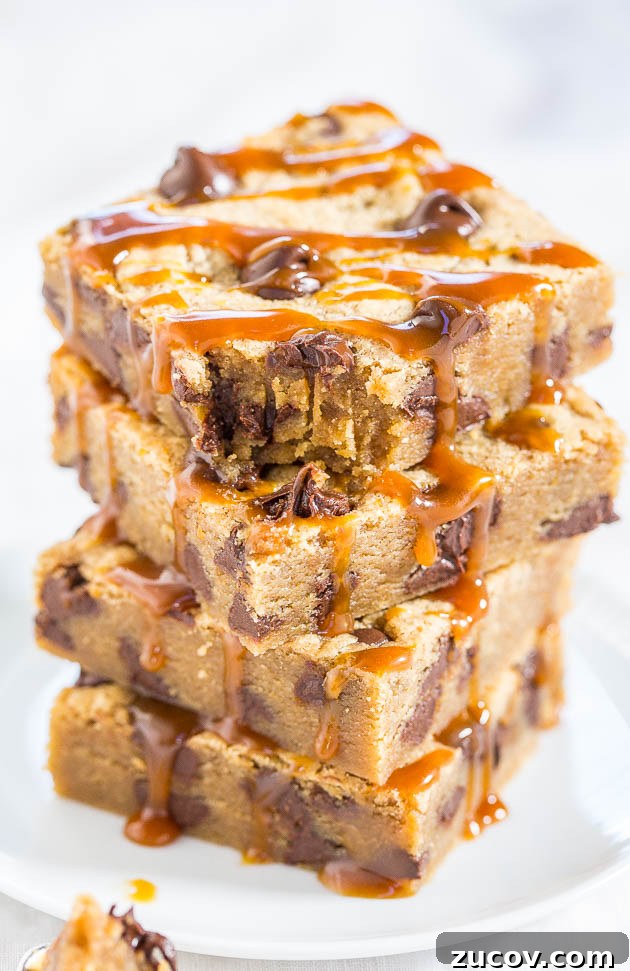 Gooey Chocolate Chip Butter Shortbread Bars 13 img 55783 12