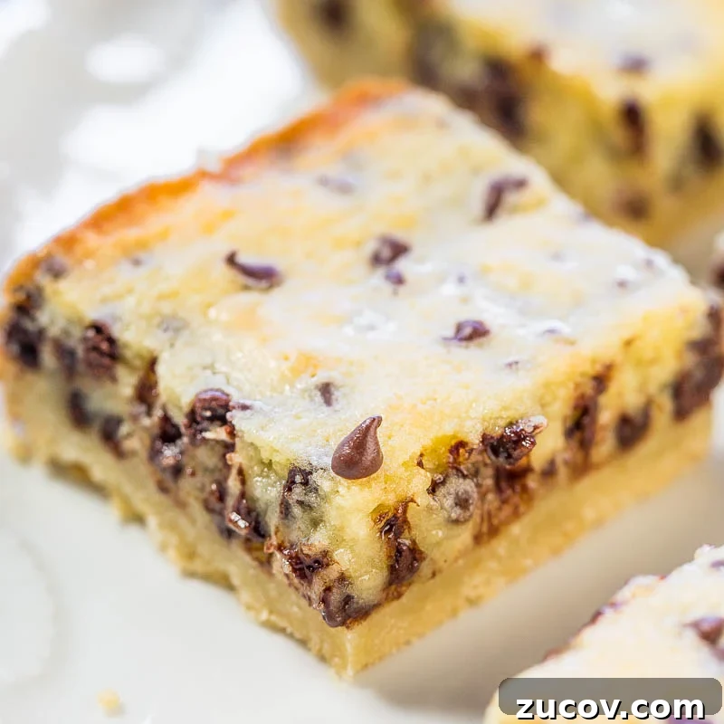 A close-up of a chocolate chip cheesecake bar on a plate.