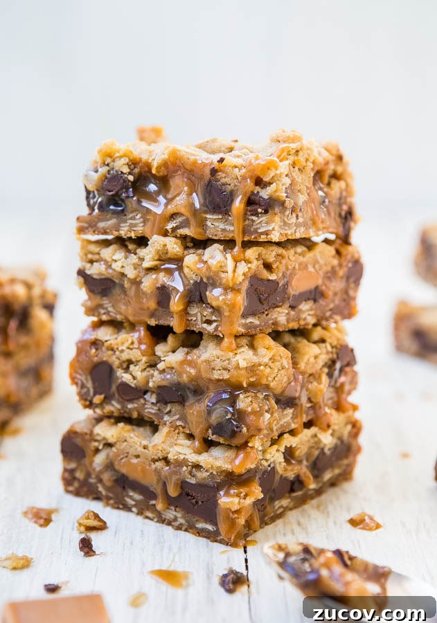 Gooey Chocolate Chip Butter Shortbread Bars 9 img 55783 8