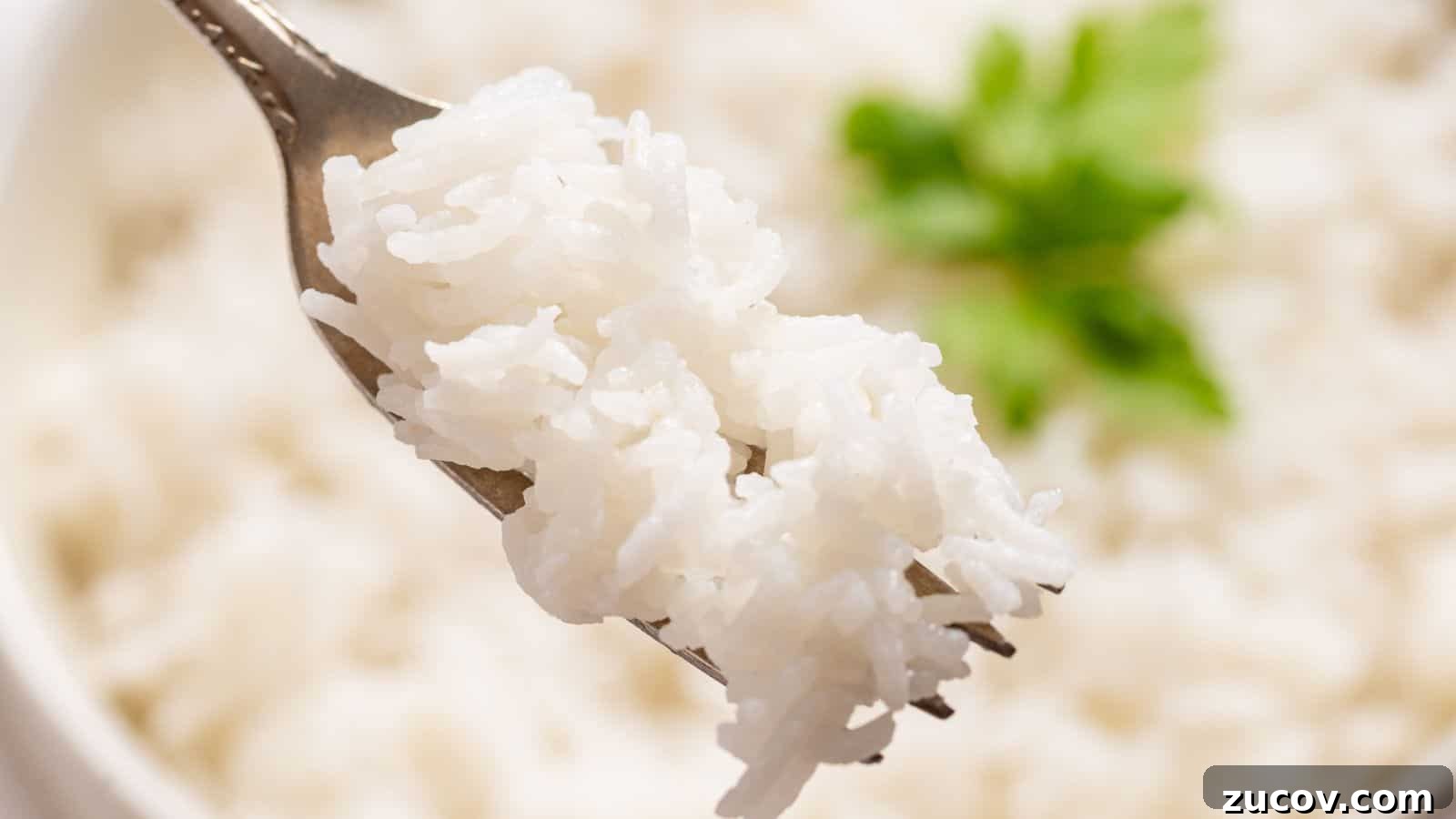 17 Comforting Side Dishes That Steal the Show 8 A spoonful of slow-cooked white rice held above a bowl, with a fresh green parsley leaf in the background.