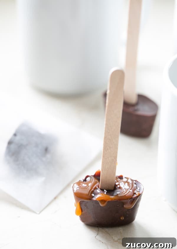 Delicious Hot Chocolate Sticks: Melt-In-Mug Cocoa Treats 2 Hot chocolate on a stick.
